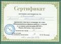 Сертификат участника семинара по теме: "Инновационные формы работы с семьей в условиях реализации ФГОС" 2017 год Сертификат участника семинара по теме: "Инновационные формы работы с семьей в условиях реализации ФГОС" 2017 год