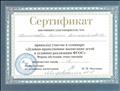 Сертификат участника семинара по теме: "Духовно-нравственное воспитание детей в условиях реализации ФГОС" 2017 год Сертификат участника семинара по теме: "Духовно-нравственное воспитание детей в условиях реализации ФГОС" 2017 год